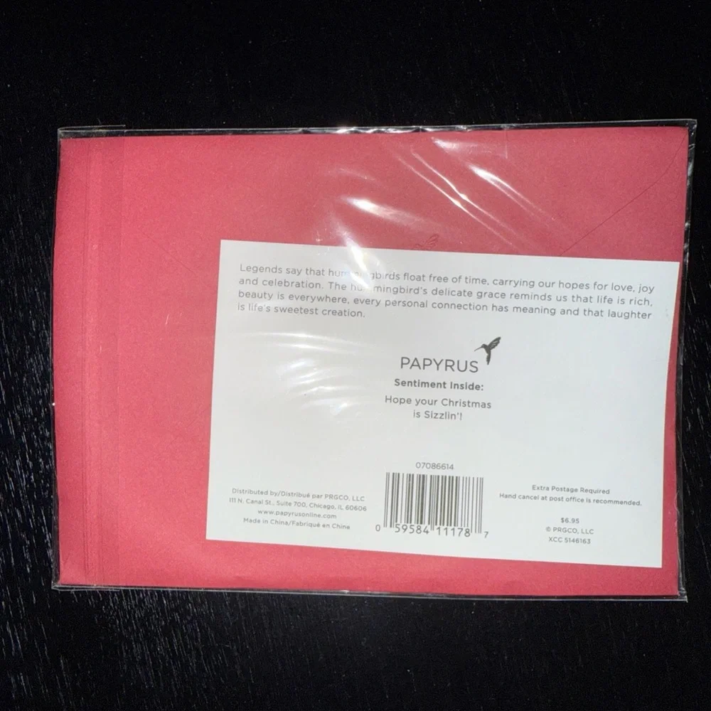 Papyrus Red Breakfast for Santa Christmas Card